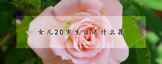 女儿20岁生日送什么花,第1图