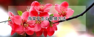 海棠花怎么繁殖方法,第1图