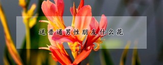 送普通男性朋友什么花,第1图