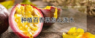 种植百香果怎么浇水,第1图