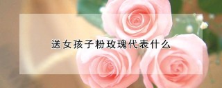 送女孩子粉玫瑰代表什么,第1图