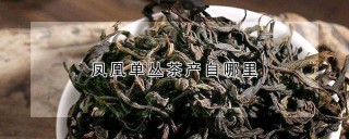 凤凰单丛茶产自哪里,第1图