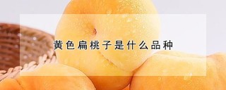 黄色扁桃子是什么品种,第1图