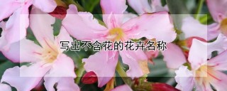 写出不含花的花卉名称,第1图