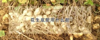 花生底肥用什么肥,第1图