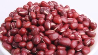红豆和相思豆的区别,第1图