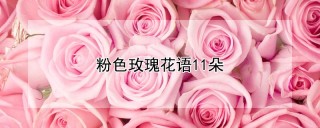 粉色玫瑰花语11朵,第1图