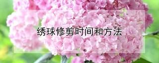 绣球修剪时间和方法,第1图