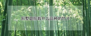 别墅庭院栽什么品种的竹子,第1图