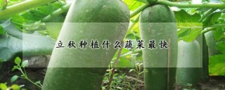 立秋种植什么蔬菜最快,第1图