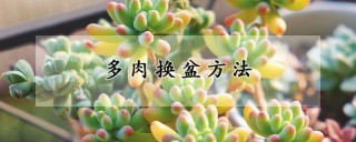 多肉换盆方法,第1图