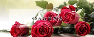 40朵玫瑰花语,第1图