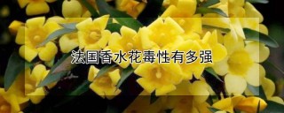 法国香水花毒性有多强,第1图