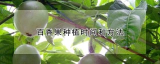 百香果种植时间和方法,第1图