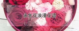 永生花浪漫花语,第1图