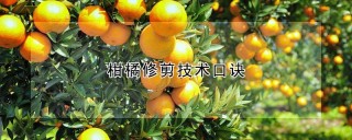 柑橘修剪技术口诀,第1图