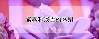 紫雾和淡雪的区别,第1图