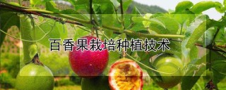 百香果栽培种植技术,第1图