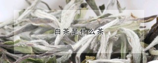 白茶是什么茶,第1图