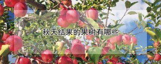 秋天结果的果树有哪些,第1图