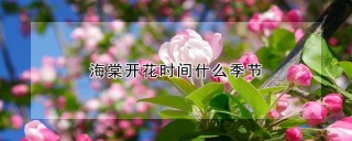 海棠开花时间什么季节,第1图