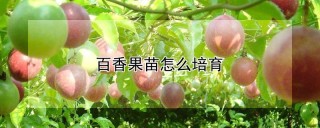 百香果苗怎么培育,第1图