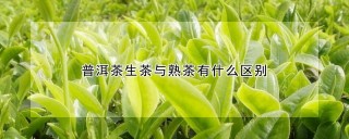 普洱茶生茶与熟茶有什么区别,第1图