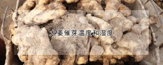 大姜催芽温度和湿度,第1图