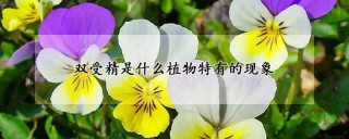 双受精是什么植物特有的现象,第1图