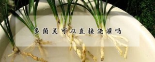 多菌灵可以直接浇灌吗,第1图