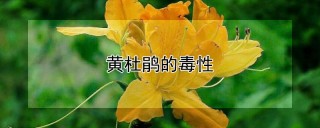 黄杜鹃的毒性,第1图