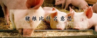 猪粮比什么意思,第1图