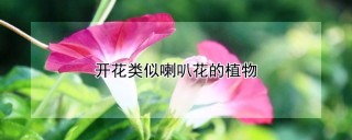 开花类似喇叭花的植物,第1图