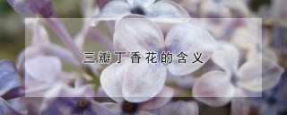 三瓣丁香花的含义,第1图