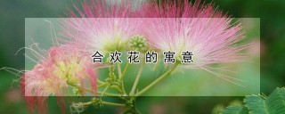 合欢花的寓意,第1图