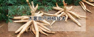 木薯高产种植技术,第1图