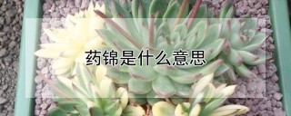 药锦是什么意思,第1图