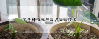 芋头种植高产栽培管理技术,第1图