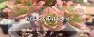 法师怎么养成多头老桩,第1图