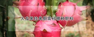 火龙果挂果期需补哪种肥料,第1图