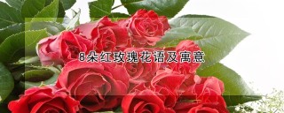 8朵红玫瑰花语及寓意,第1图