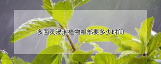 多菌灵浸泡植物根部要多少时间,第1图