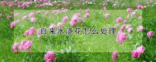 自来水浇花怎么处理,第1图