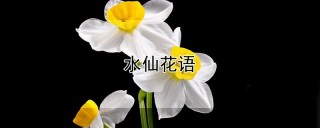 水仙花语,第1图