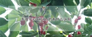 车厘子xld和双J的有什么区别,第1图