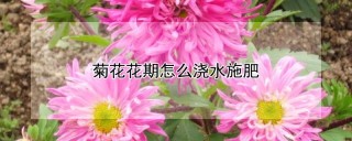 菊花花期怎么浇水施肥,第1图