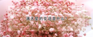 满天星的花语是什么?,第1图