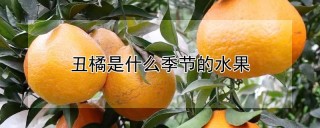 丑橘是什么季节的水果,第1图