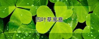 四叶草寓意,第1图