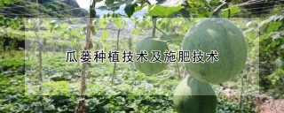 瓜蒌种植技术及施肥技术,第1图